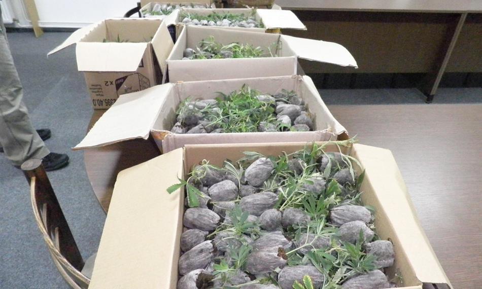 2011-7-28-133Snímek 010.jpg